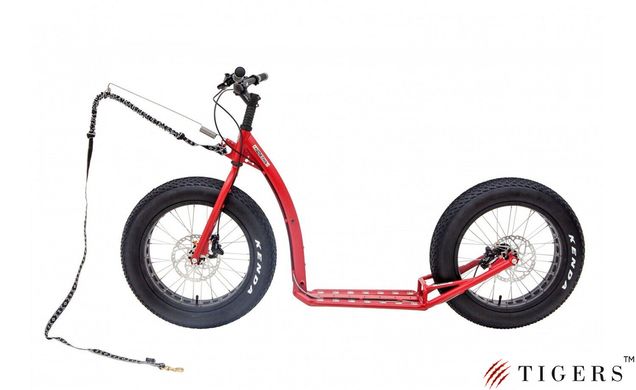 Самокат MTB&DH Footbike KOSTKA RAPTOR MAX DOG (G5)