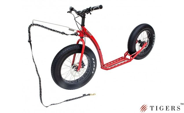 Самокат MTB&DH Footbike KOSTKA RAPTOR MAX DOG (G5)